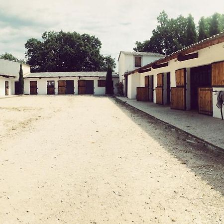 Maison Au Milieu Des Chevaux LʼIsle-sur-la-Sorgue Exteriör bild