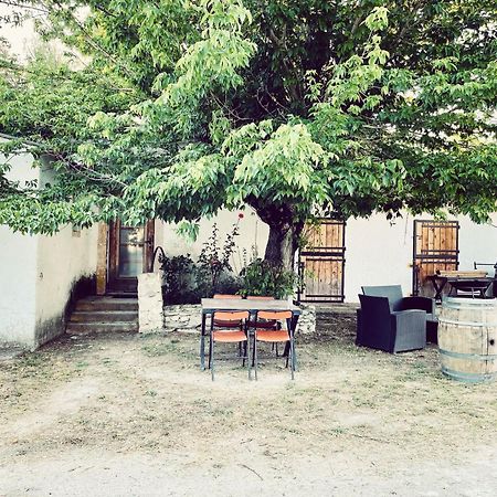 Maison Au Milieu Des Chevaux LʼIsle-sur-la-Sorgue Exteriör bild