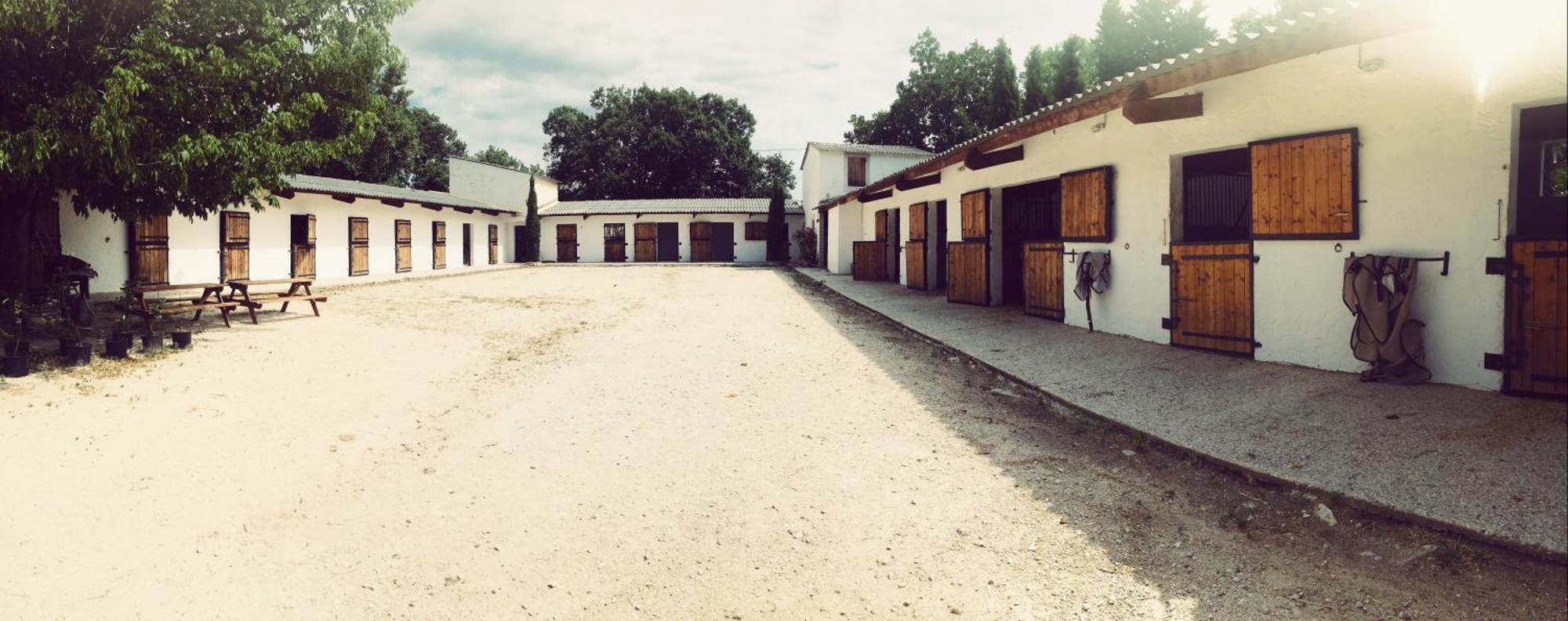 Maison Au Milieu Des Chevaux LʼIsle-sur-la-Sorgue Exteriör bild